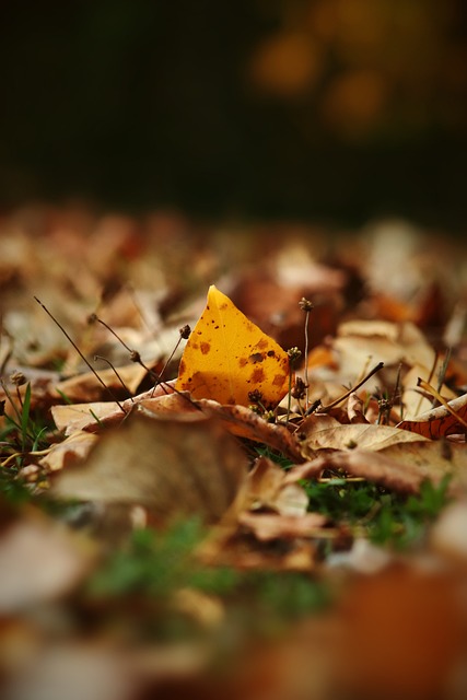 亚精英赛半场：陈威屡献神扑力保城池，海港0-0柔佛新山