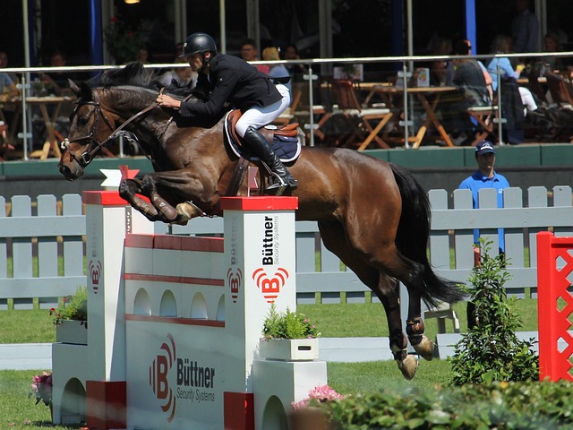 柔佛魔鬼主场绞杀残阵海港 中超冠军恐提前出局