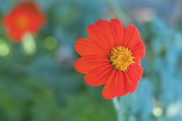 4-1，挪威是世预赛历史上第二支客场击败意大利的球队